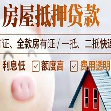 高坪贷款助贷公司新渝启服成立时间久